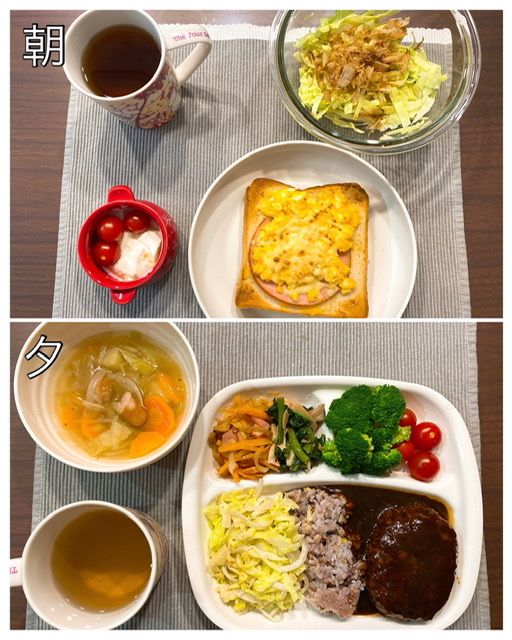 f:id:yktrtt:20210607051339j:plain