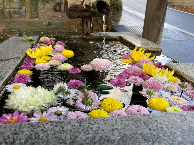 f:id:ykumanya:20210129112351j:plain