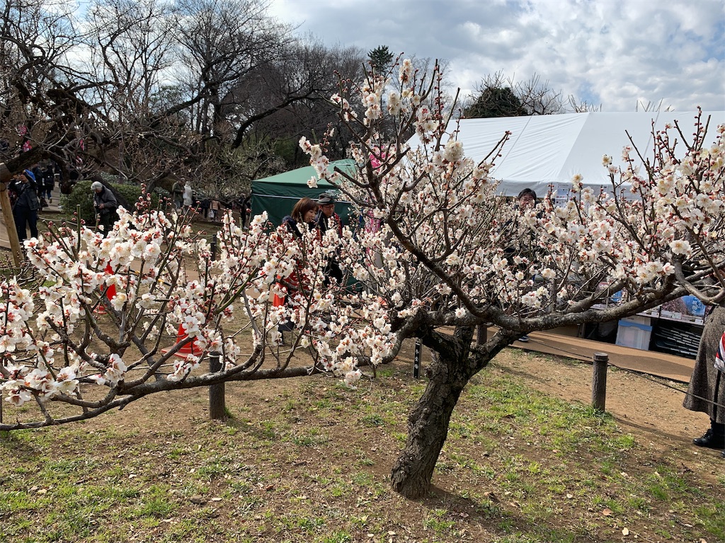 f:id:ykw2804:20190219215330j:image f:id:ykw2804:20190219215330j:image
