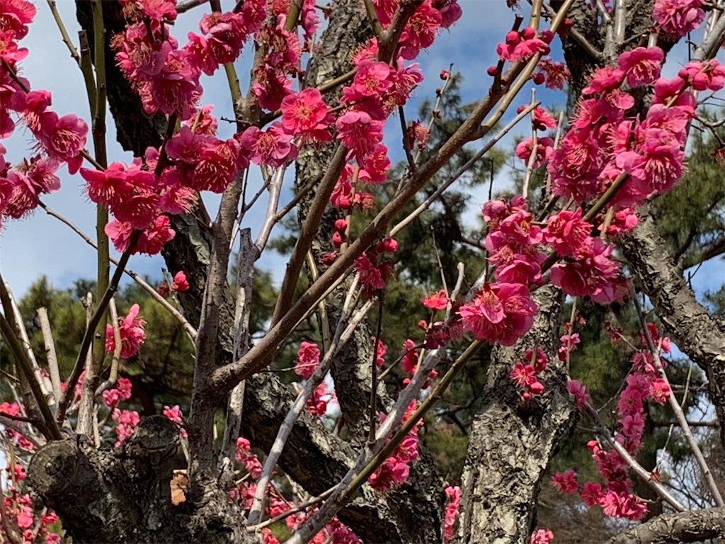 f:id:ykw2804:20190219215335j:image f:id:ykw2804:20190219215335j:image