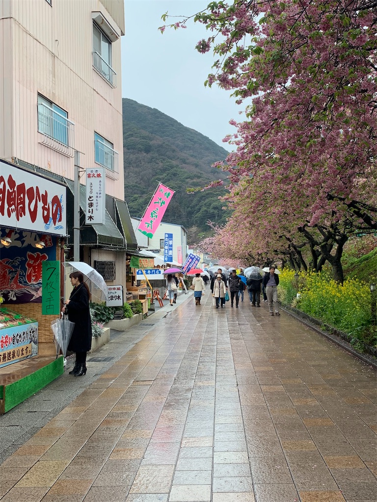f:id:ykw2804:20190305181753j:image f:id:ykw2804:20190305181753j:image
