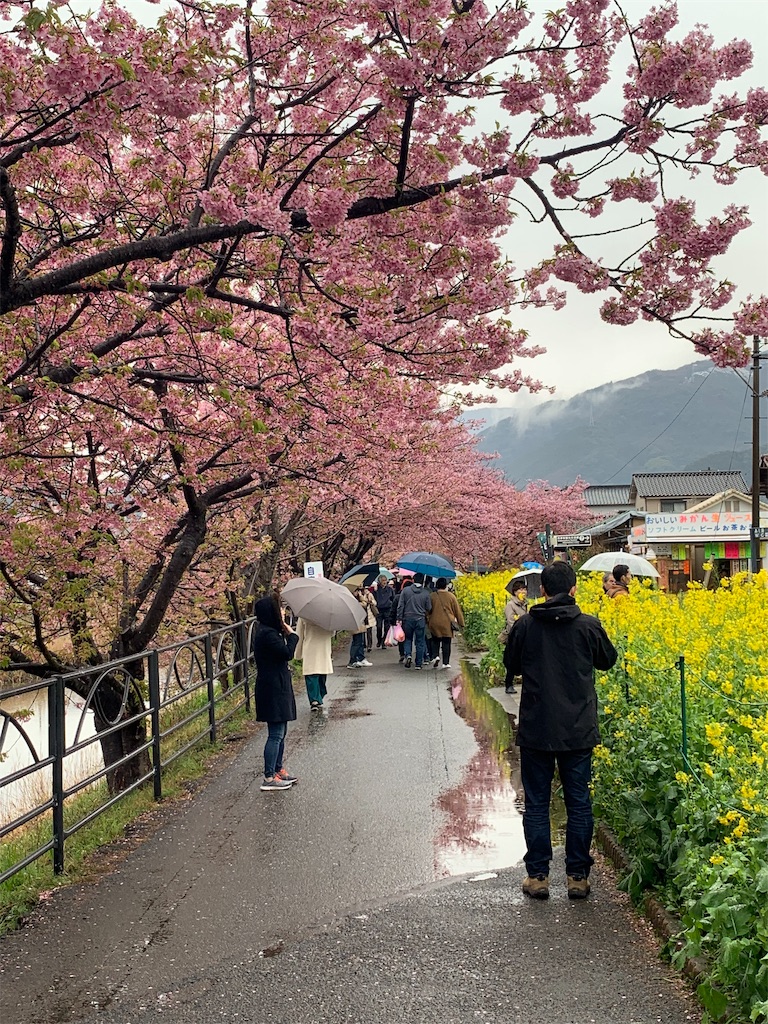 f:id:ykw2804:20190311093420j:image f:id:ykw2804:20190311093420j:image