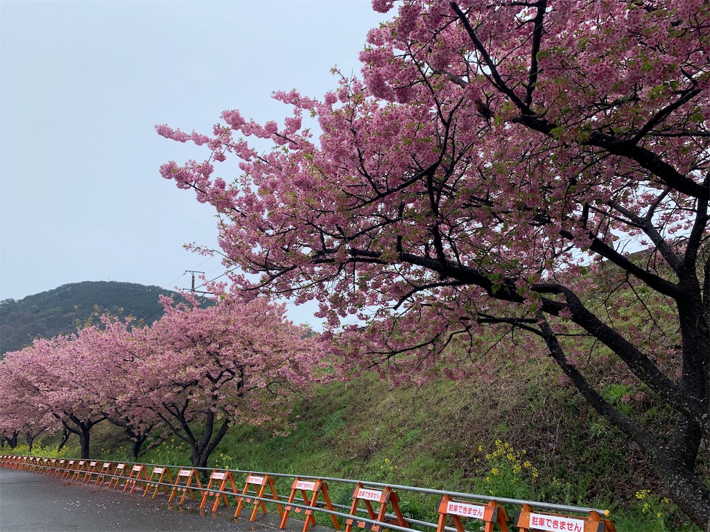 f:id:ykw2804:20190311093821j:image f:id:ykw2804:20190311093821j:image
