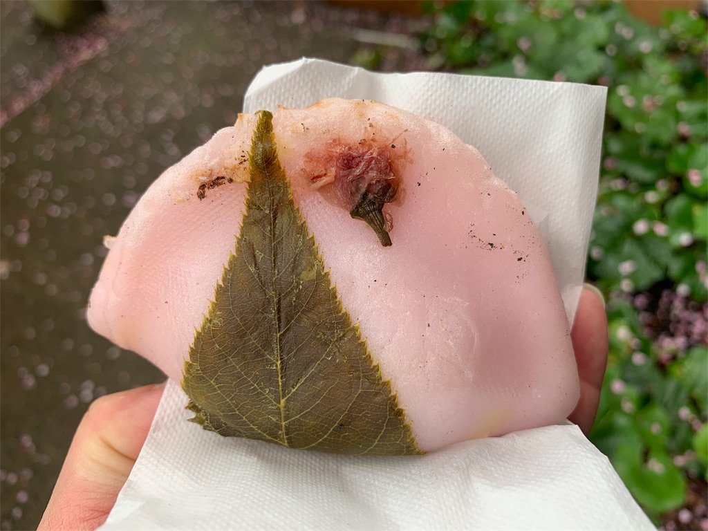 f:id:ykw2804:20190311094117j:image f:id:ykw2804:20190311094117j:image