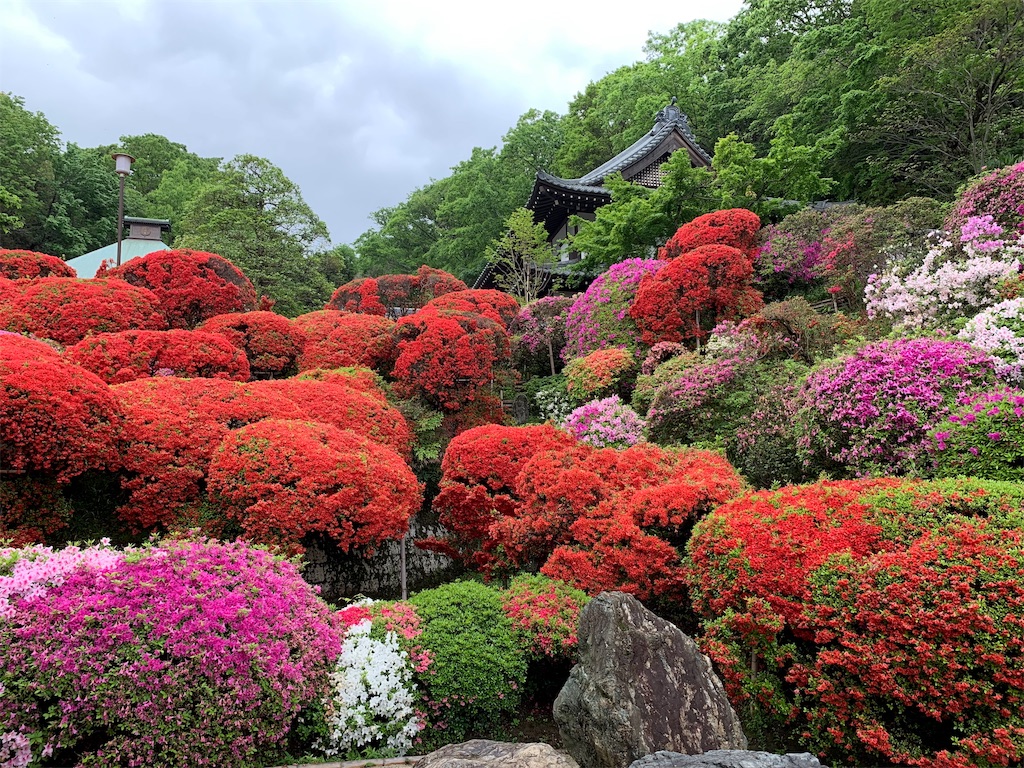 f:id:ykw2804:20190523164614j:image f:id:ykw2804:20190523164614j:image