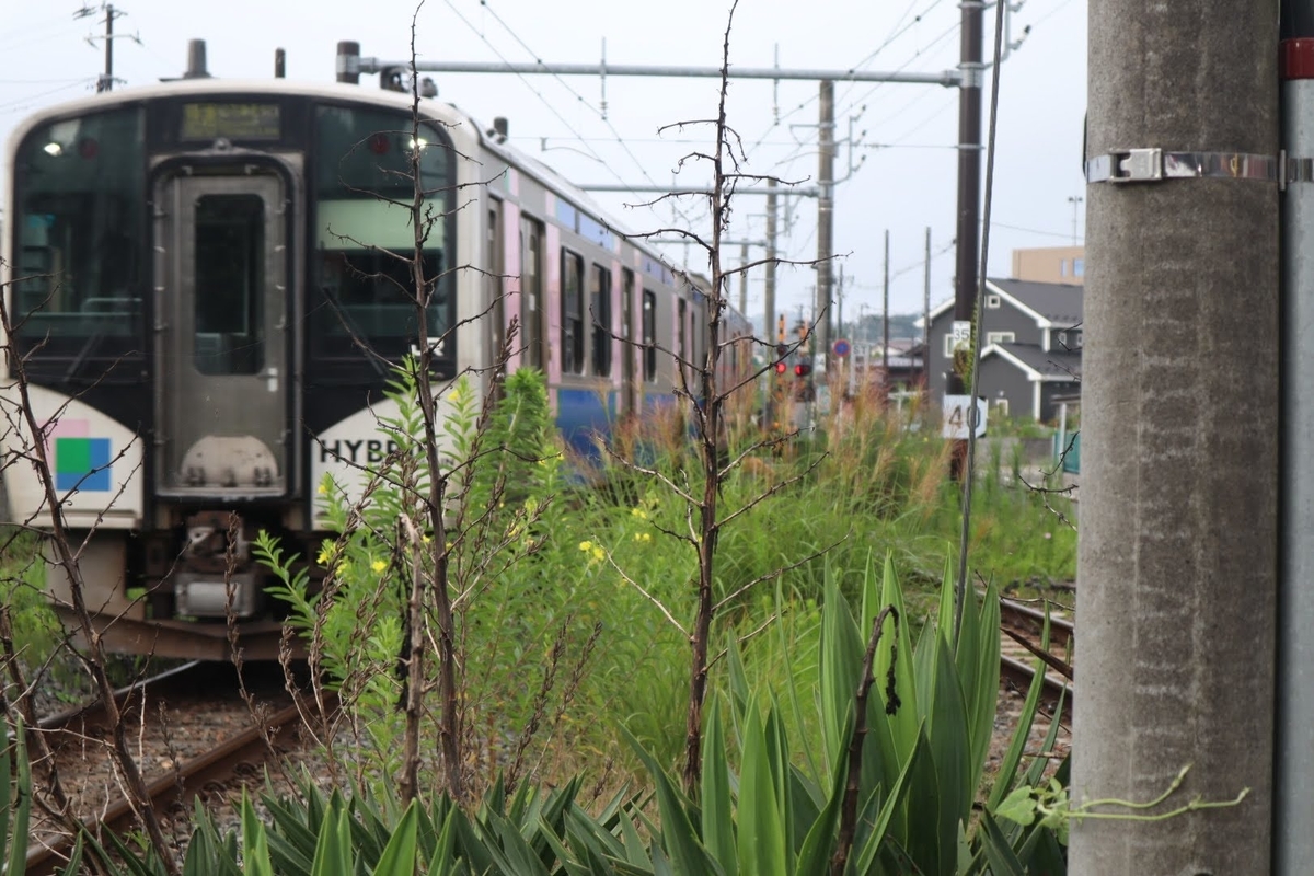 f:id:ym9927340061:20200903002359j:plain