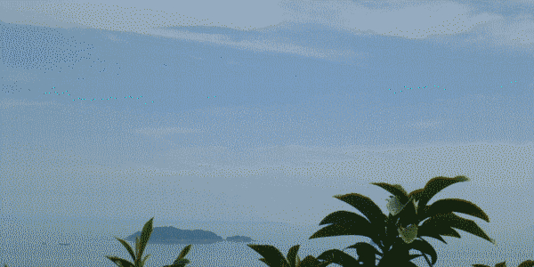 f:id:ymahatue1003:20150604204201j:image f:id:ymahatue1003:20150604204201j:image