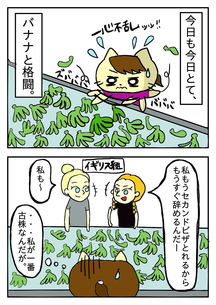 f:id:ymaruko:20180321185500j:plain f:id:ymaruko:20180321185500j:plain