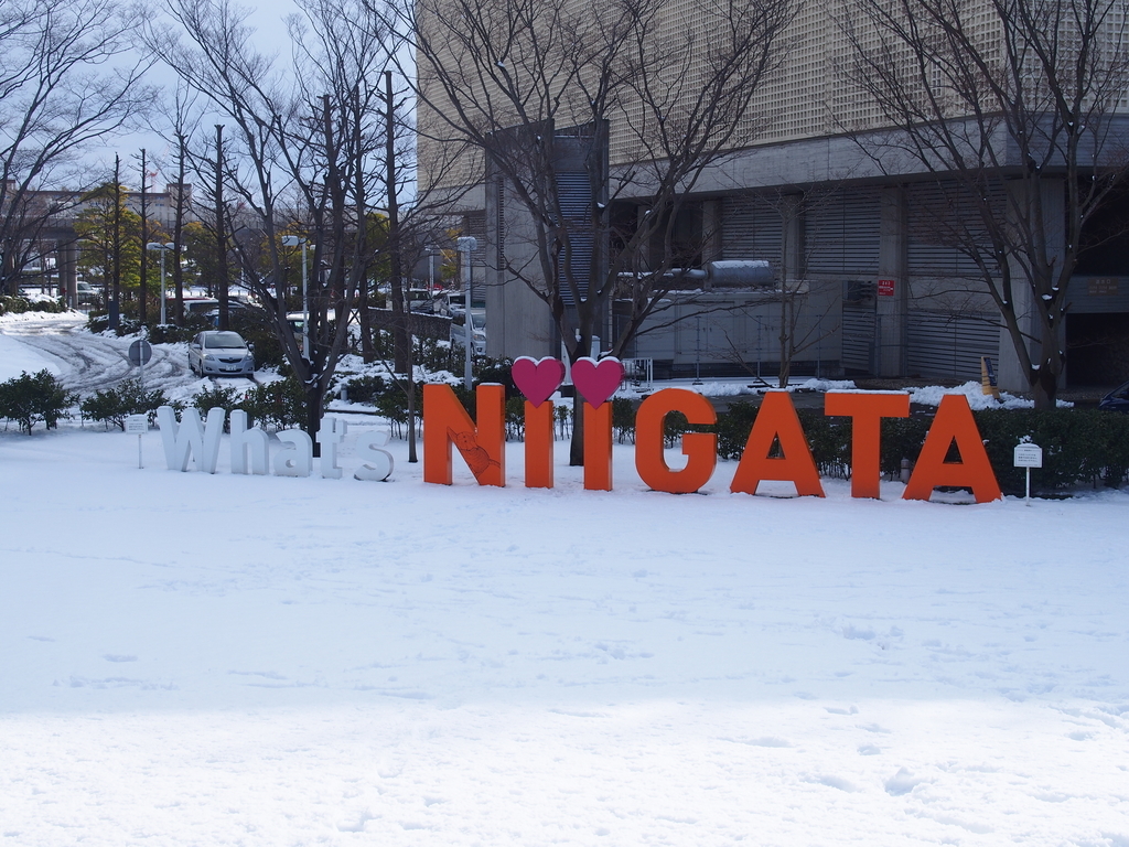 What's NIIGATA