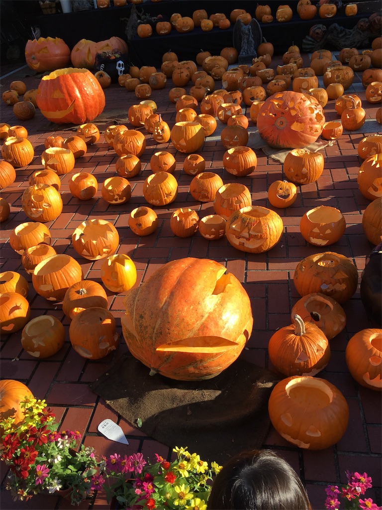 f:id:ymck_yuko1027328:20181030175420j:image