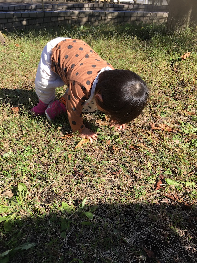 f:id:ymck_yuko1027328:20201026171420j:plain