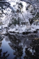 [雪][兼六園]