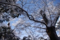 [雪][空][兼六園]