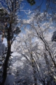 [雪][空][兼六園]