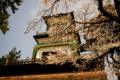 [尾山神社][花]