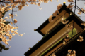 [尾山神社][花][空]