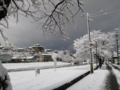 [空][雪][電柱]