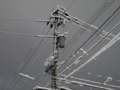 [雪][電柱]