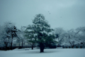 [雪][金沢城址公園]