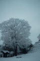 [雪][金沢城址公園]