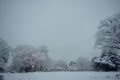 [雪][金沢城址公園]