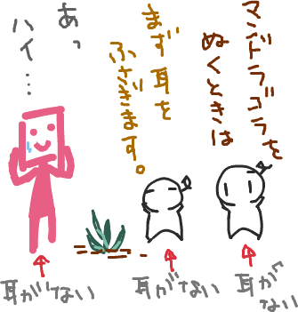 おはよう