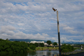 [電柱][空]