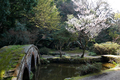 [花][尾山神社]