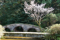 [花][尾山神社]