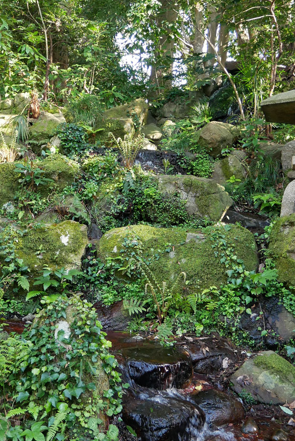 [植物][尾山神社]