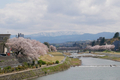 [花][空][川]