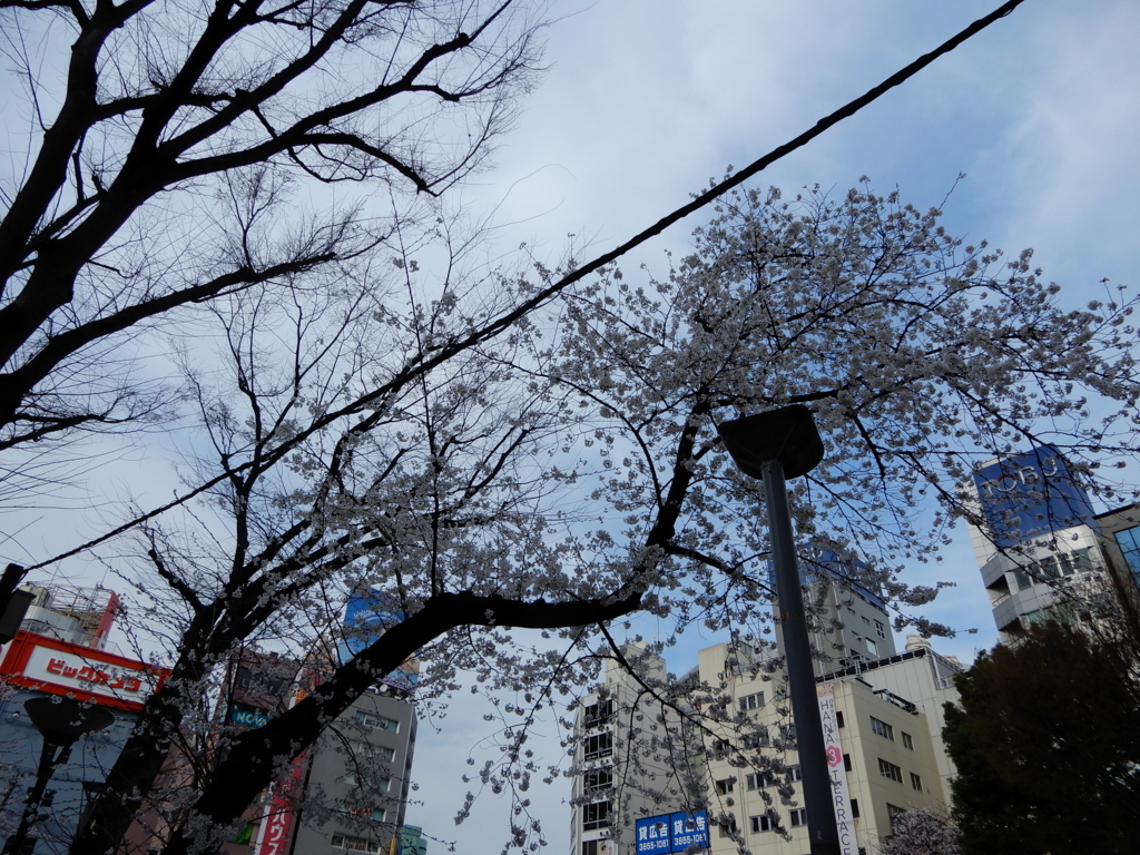 f:id:ymd104:20180324221955j:plain