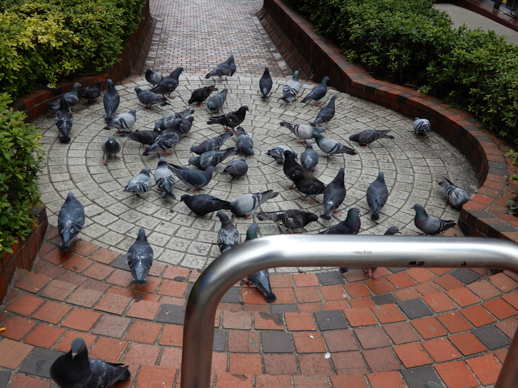 f:id:ymd104:20180324222019j:plain