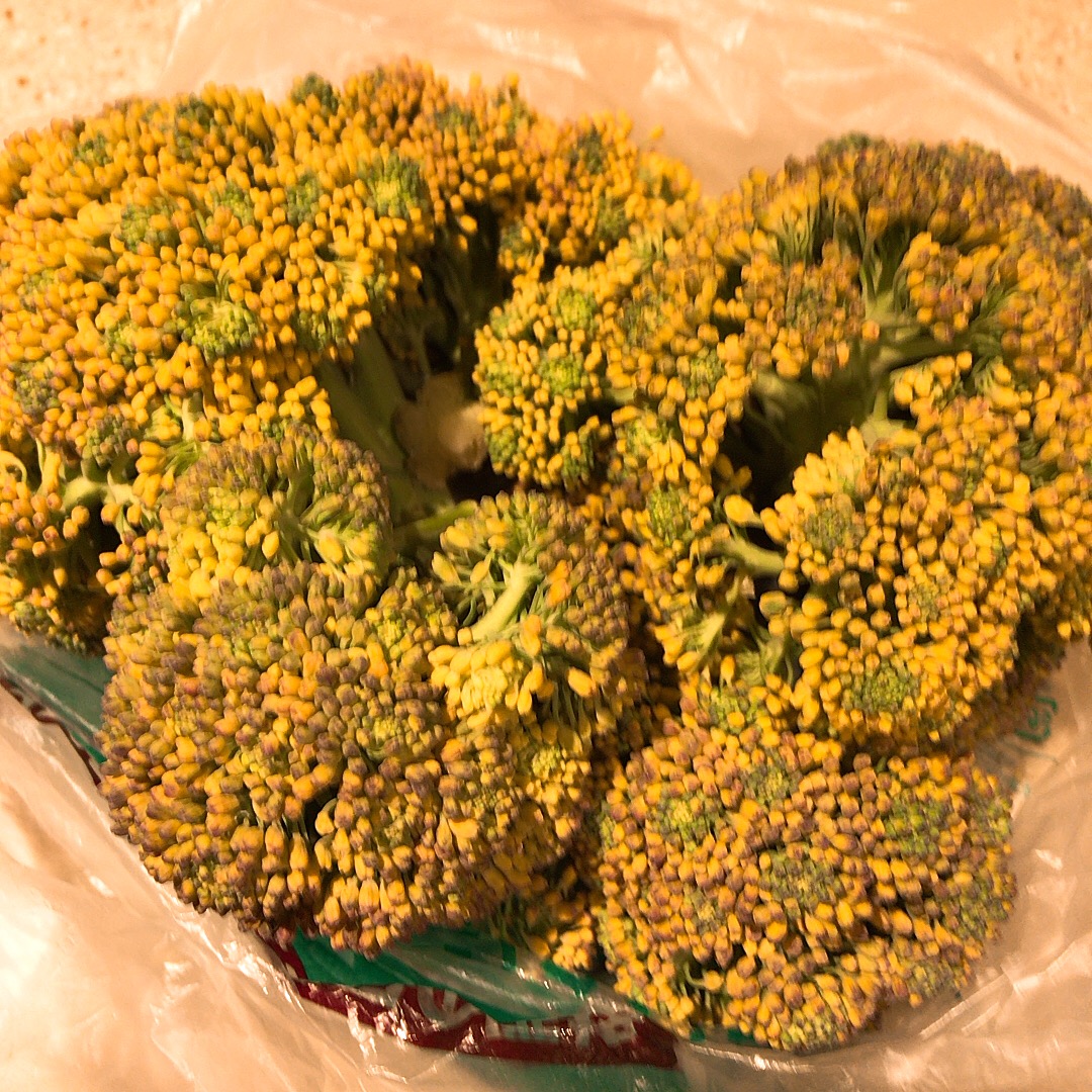 花が咲いてもブロッコリーは美味しい プログラマ飯