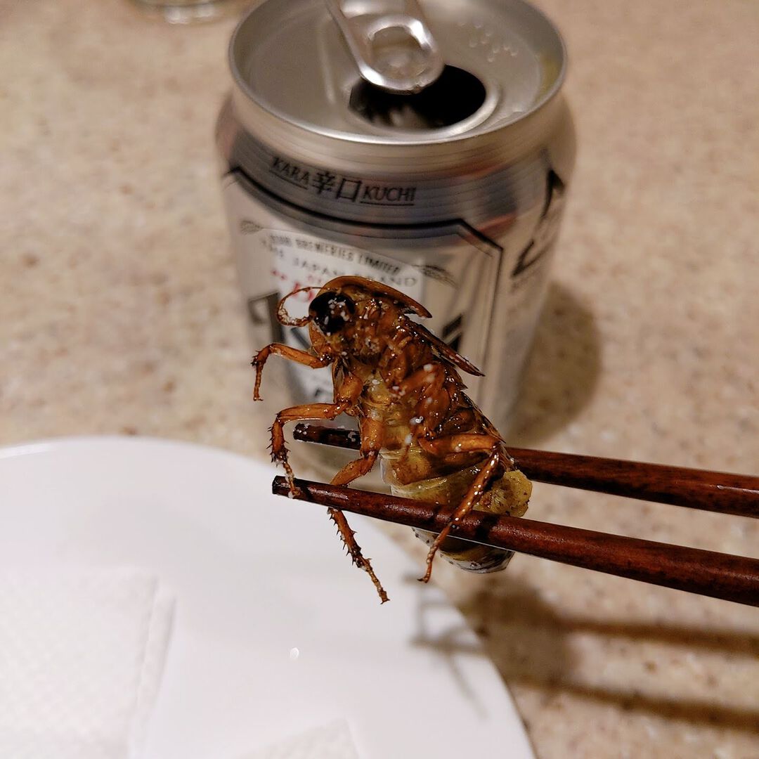 アルゼンチンモリゴキブリの素揚げで一杯 プログラマ飯
