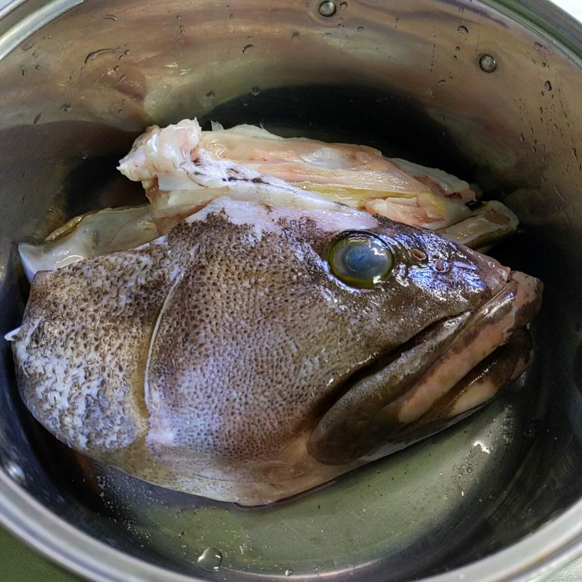 天然物のクエを捌いて食べた プログラマ飯