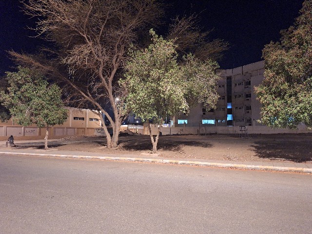 Empty lot at the designated bus stop location