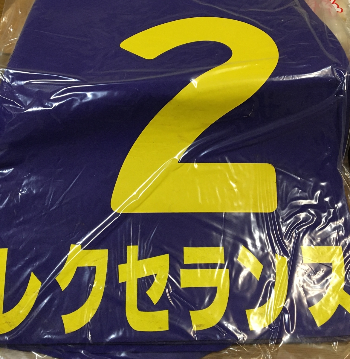 競馬　一口馬主出資パネル ラストホープ | 毎日が一口馬主！