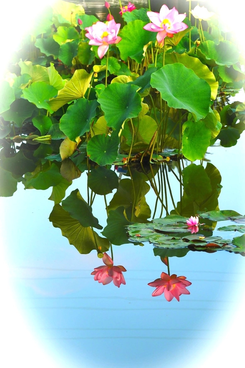 9148 花蝶窯 石雲(手塚充) 柳に蜻蛉の絵花入(共