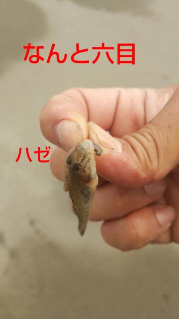 f:id:ymjclub1:20160712074333j:plain f:id:ymjclub1:20160712074333j:plain