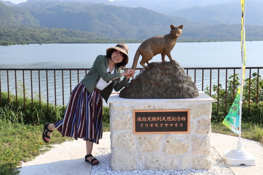 f:id:ymk0225:20180514000329j:plain f:id:ymk0225:20180514000329j:plain