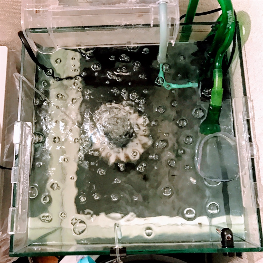 f:id:ymkjp:20170226104331j:image