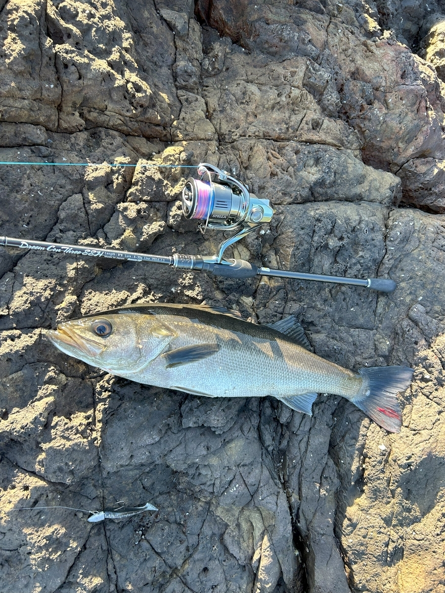 迷ったらこの一本】ドリームコンスリー88H インプレ | Angling