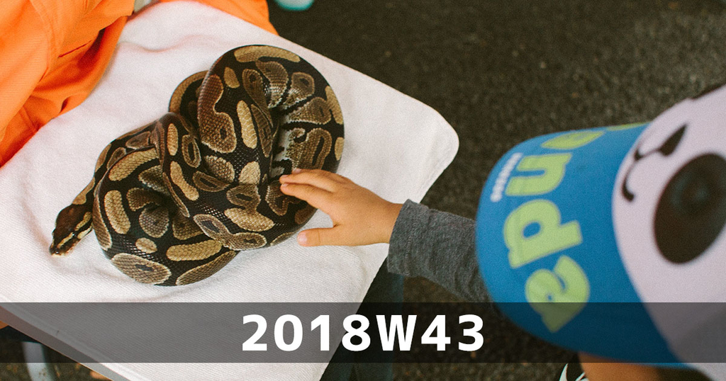 f:id:ymmtdisk:20181028141311j:plain