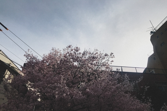 f:id:ymmtdisk:20210326191221j:plain