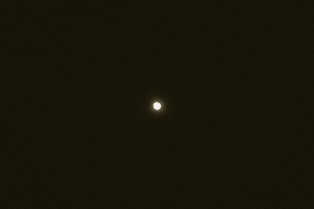 f:id:ymmtdisk:20211126163512j:plain