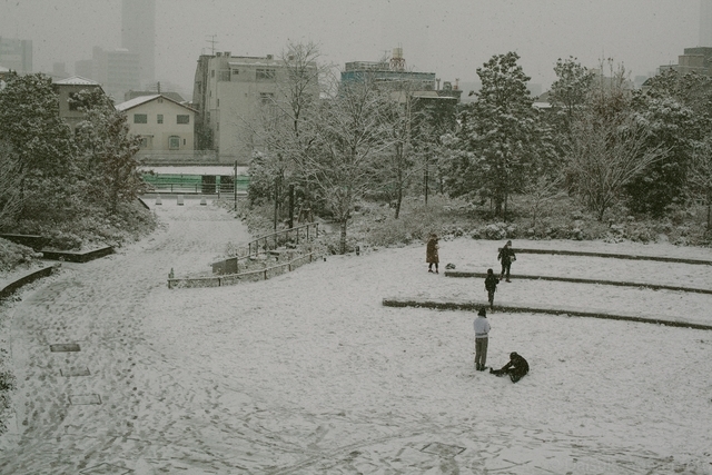 f:id:ymmtdisk:20220111142519j:plain