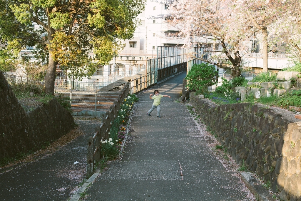 f:id:ymmtdisk:20220411105633j:plain
