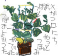Wacomさん、ペンタブレットでお絵かきしたい！