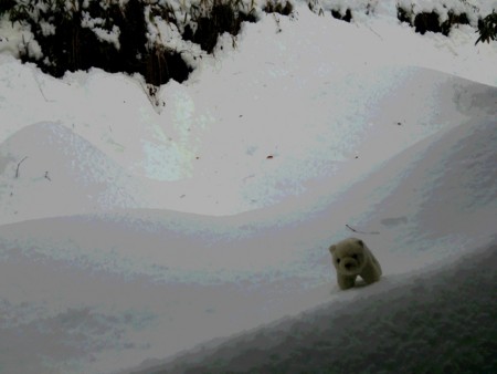 雪